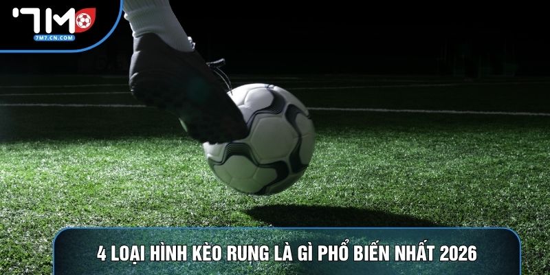 4 loại hình kèo rung là gì phổ biến nhất 2026