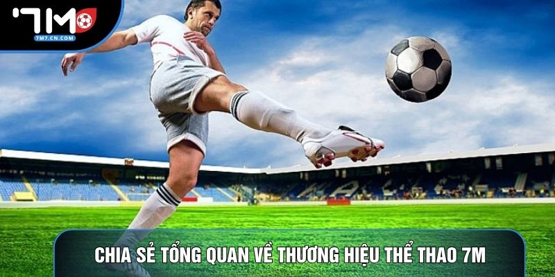Chia sẻ tổng quan về thương hiệu thể thao 7M