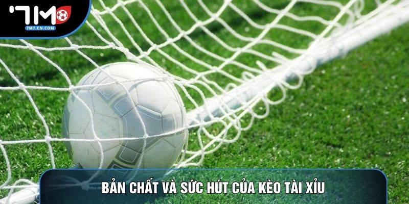 Bản chất và sức hút của kèo tài xỉu