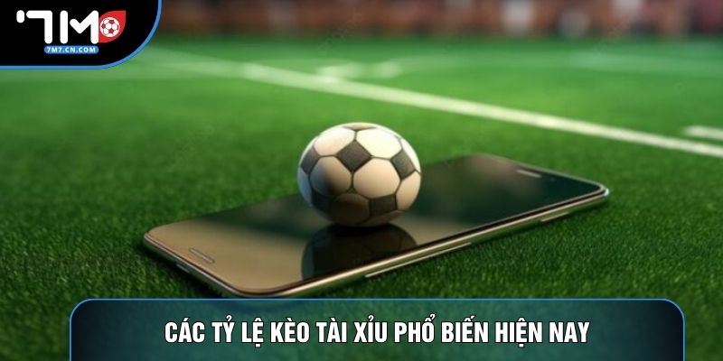 Các tỷ lệ kèo tài xỉu phổ biến hiện nay