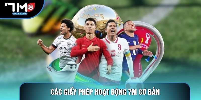 Các giấy phép hoạt động 7M cơ bản
