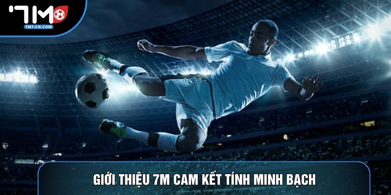 Giới thiệu 7M cam kết tính minh bạch