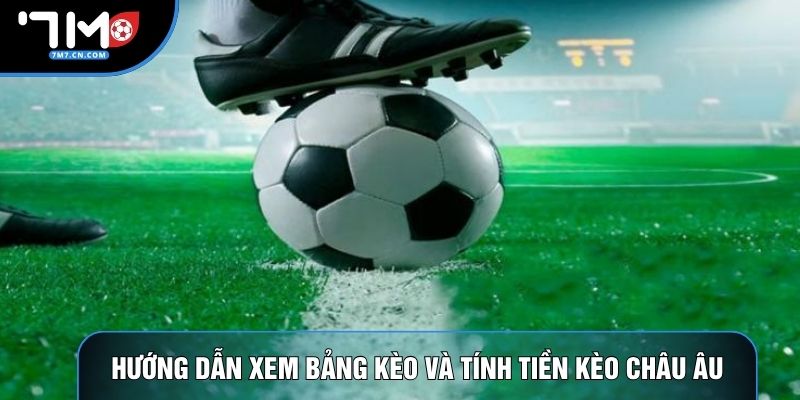 Hướng dẫn xem bảng kèo và tính tiền kèo châu Âu