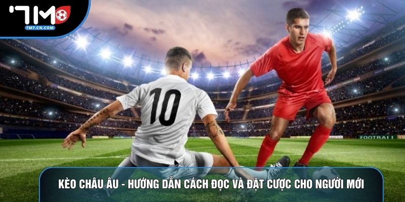 Kèo Châu Âu - Hướng Dẫn Cách Đọc Và Đặt Cược Cho Người Mới