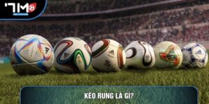 Kèo Rung Là Gì? Chi Tiết Về Hình Thức Cược Trực Tiếp