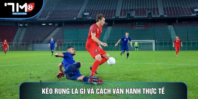 Kèo rung là gì và cách vận hành thực tế