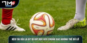 Kèo Tài Xỉu Là Gì? Bí Kíp Đọc Kèo Chuẩn Xác Không Thể Bỏ Lỡ