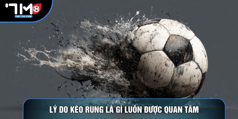 Lý do kèo rung là gì luôn được quan tâm