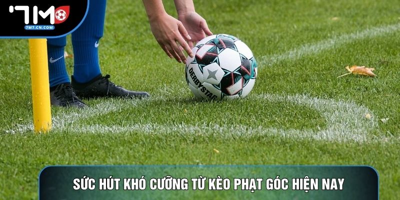 Sức hút khó cưỡng từ kèo phạt góc hiện nay
